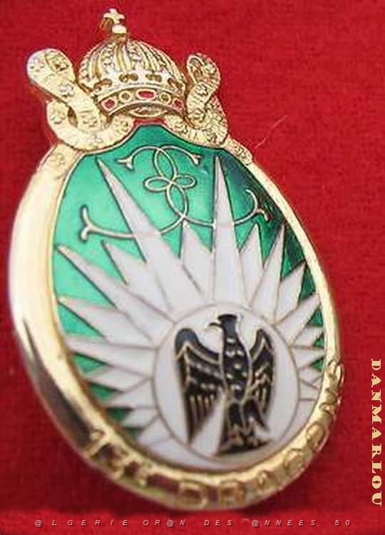 Dragons  Paras - 13e R.D.P .jpg